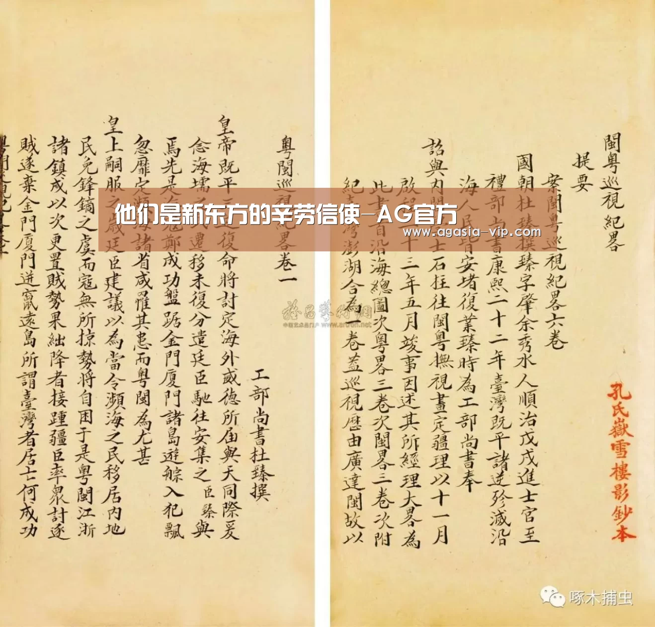 AG电竞