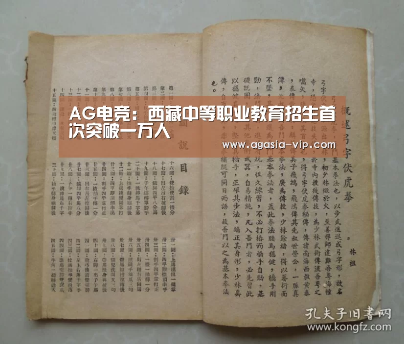 AG电竞:西藏中等职业教育招生首次突破一万人(图1) AG国际厅